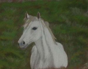 Voir le détail de cette oeuvre: le cheval blanc